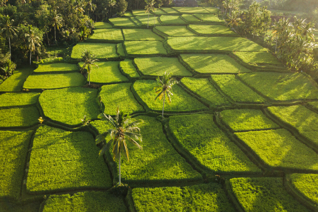 Volcanic ridges of Bali's interior from above